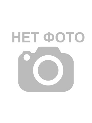 Воспитатель высшей категории Родина Ирина Викторовна Воспитатель высшей категории Родина Ирина Викторовна